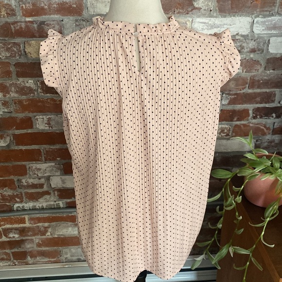 Andrianna Papell Pink with Black Polk Dot Ruffle Sleeve & Neck Short Sleeve Top - Picture 5 of 6